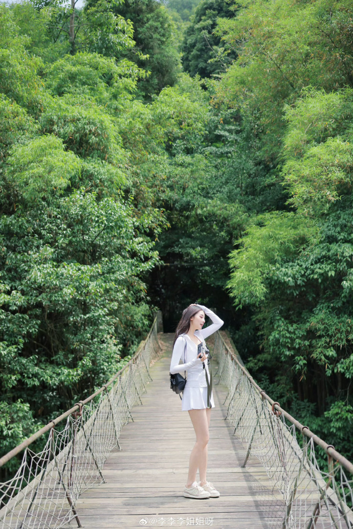 药屋少女的呢喃 封面